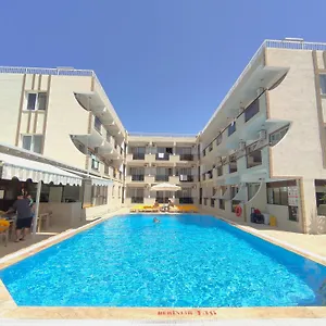 Mulka Ayvalı